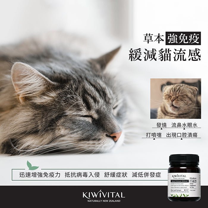 Kiwivital橄欖葉草療粉 - PetMo