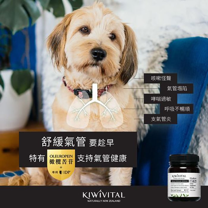 Kiwivital橄欖葉草療粉 - PetMo