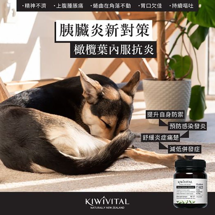 Kiwivital橄欖葉草療粉 - PetMo