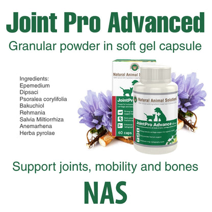 NAS JointPro Advance醫療級關節藥 - PetMo