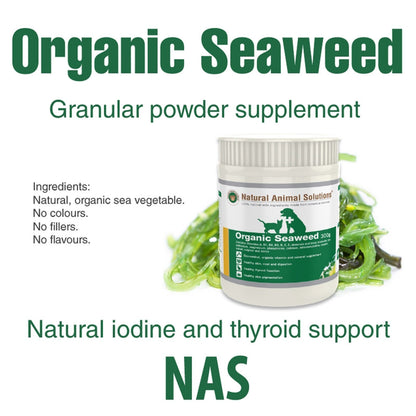 NAS Organic Seaweed天然有機海藻粉 - PetMo