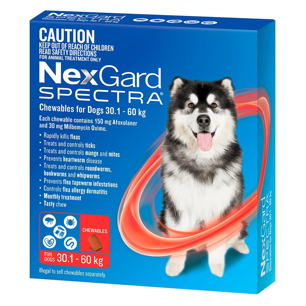 Nexgard Spectra - 超大型犬(30-60kg) - PetMo