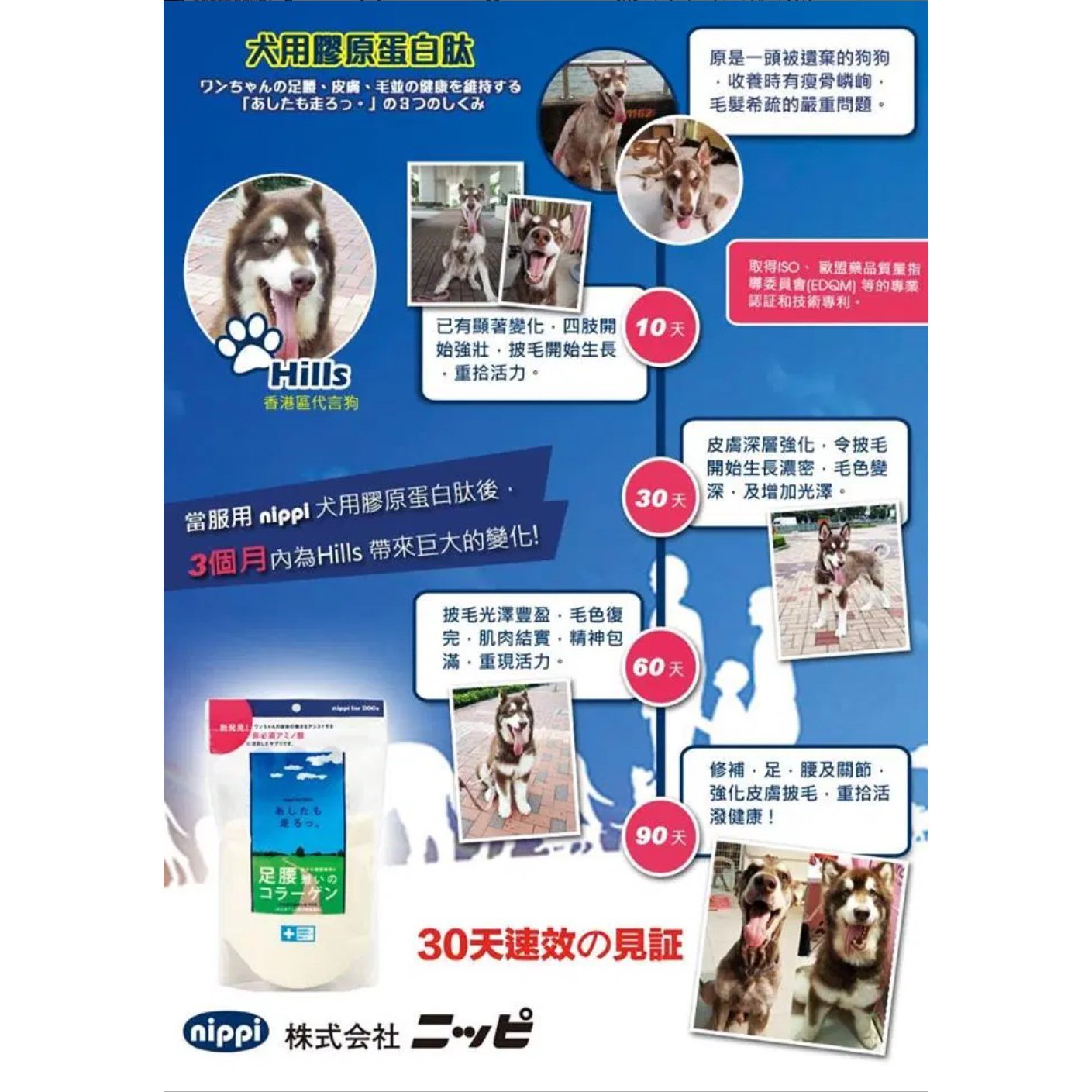 Nippi for Dog骨膠原蛋白肽 - 犬用 - PetMo