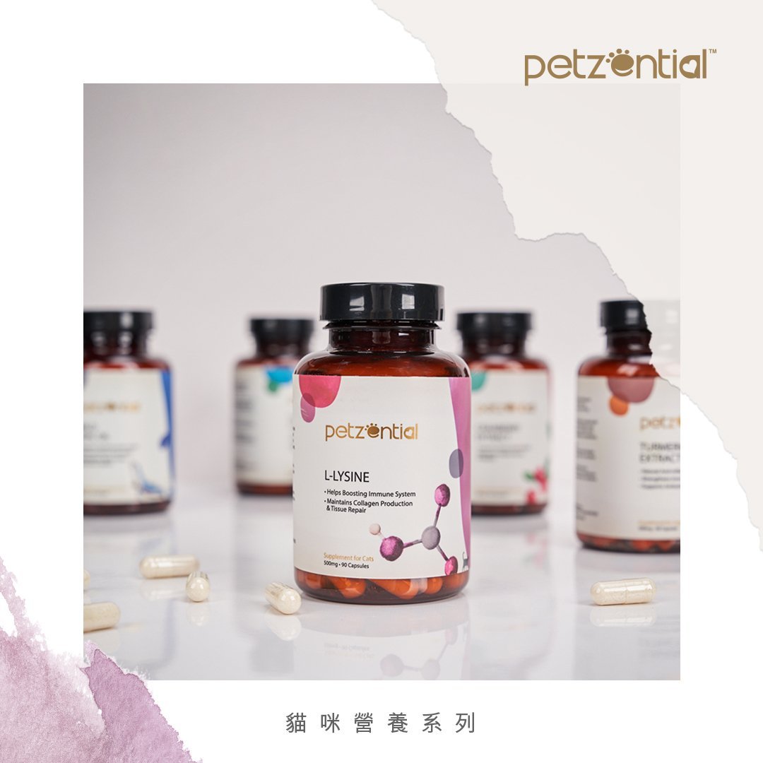Petzential離氨酸🧡營養品 - 貓用 - PetMo