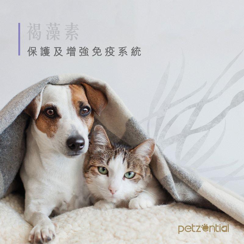 Petzential褐藻素🧡免疫強化 - PetMo