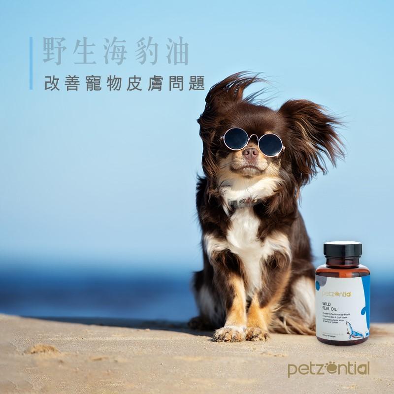 Petzential野生海豹油丸🧡美毛護膚 - PetMo