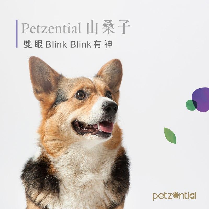 Petzential山桑子精華素🧡護眼明目 - PetMo