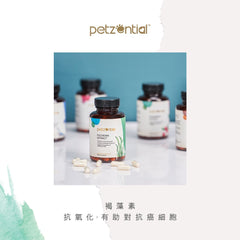 Petzential褐藻素🧡免疫強化 - PetMo