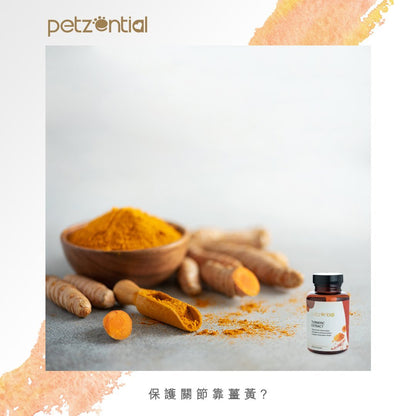 Petzential薑黃素🧡免疫強化 - PetMo