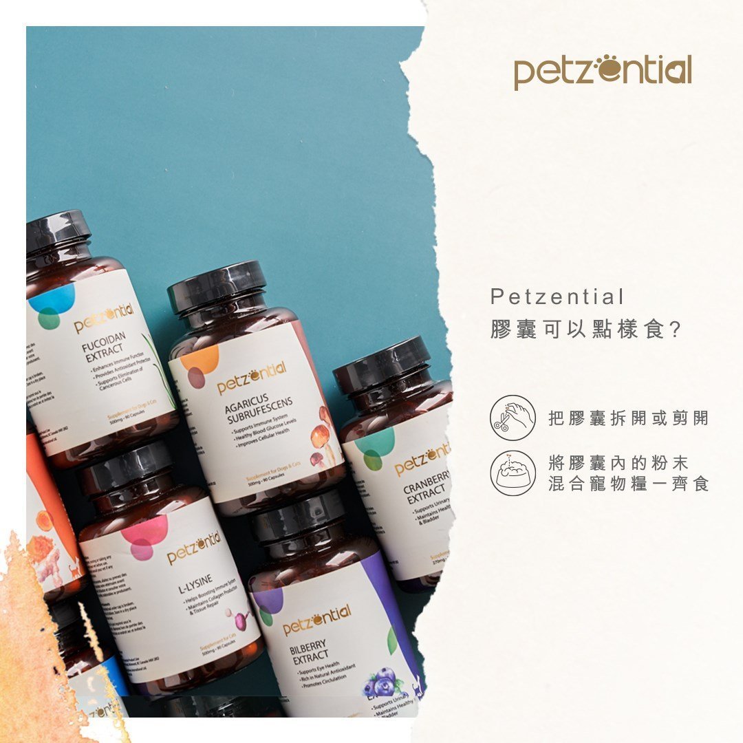 Petzential野生海豹油丸🧡美毛護膚 - PetMo