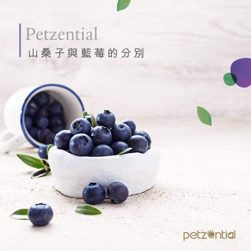 Petzential山桑子精華素🧡護眼明目 - PetMo