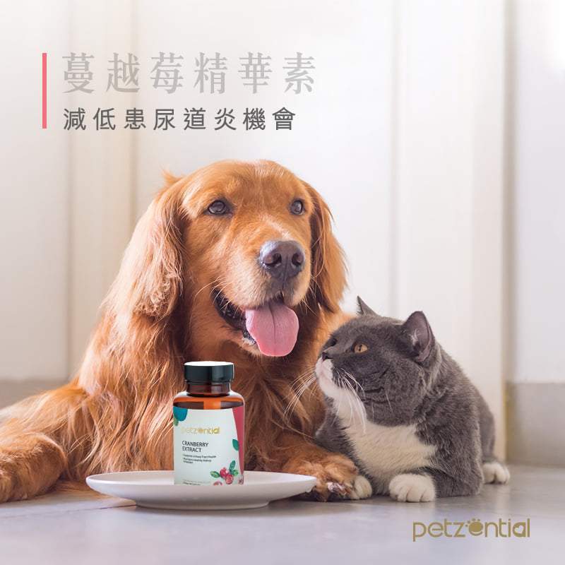 Petzential蔓越莓精華素🧡泌尿健康 - PetMo