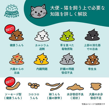 [醫療費削減系列] 純天然純鮪魚貓罐頭 - PetMo