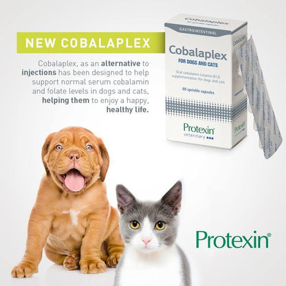 Protexin Cobalaplex維生素B12 - PetMo