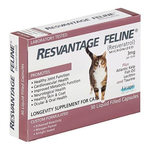 Resvantage Canine維蘆醇白藜蘆醇 - 貓用 - PetMo