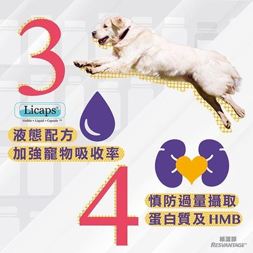 Resvantage Canine維蘆醇白藜蘆醇 - 貓用 - PetMo