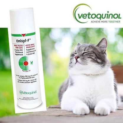 Vetoquinol ENISYL-F離胺酸營養膏 - 貓用 - PetMo