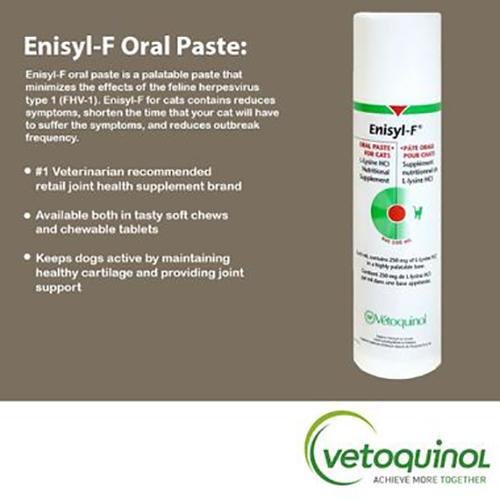 Vetoquinol ENISYL-F離胺酸營養膏 - 貓用 - PetMo