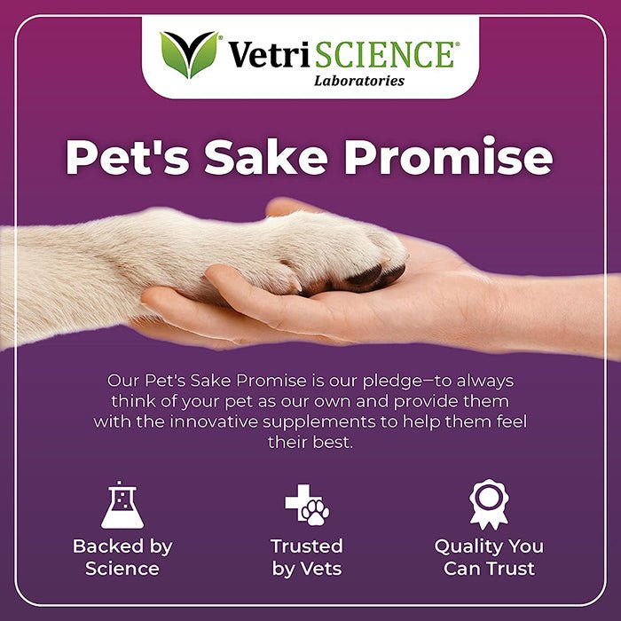 VetriScience Immune Plus獸醫級全效抗氧化免疫力提升 - PetMo