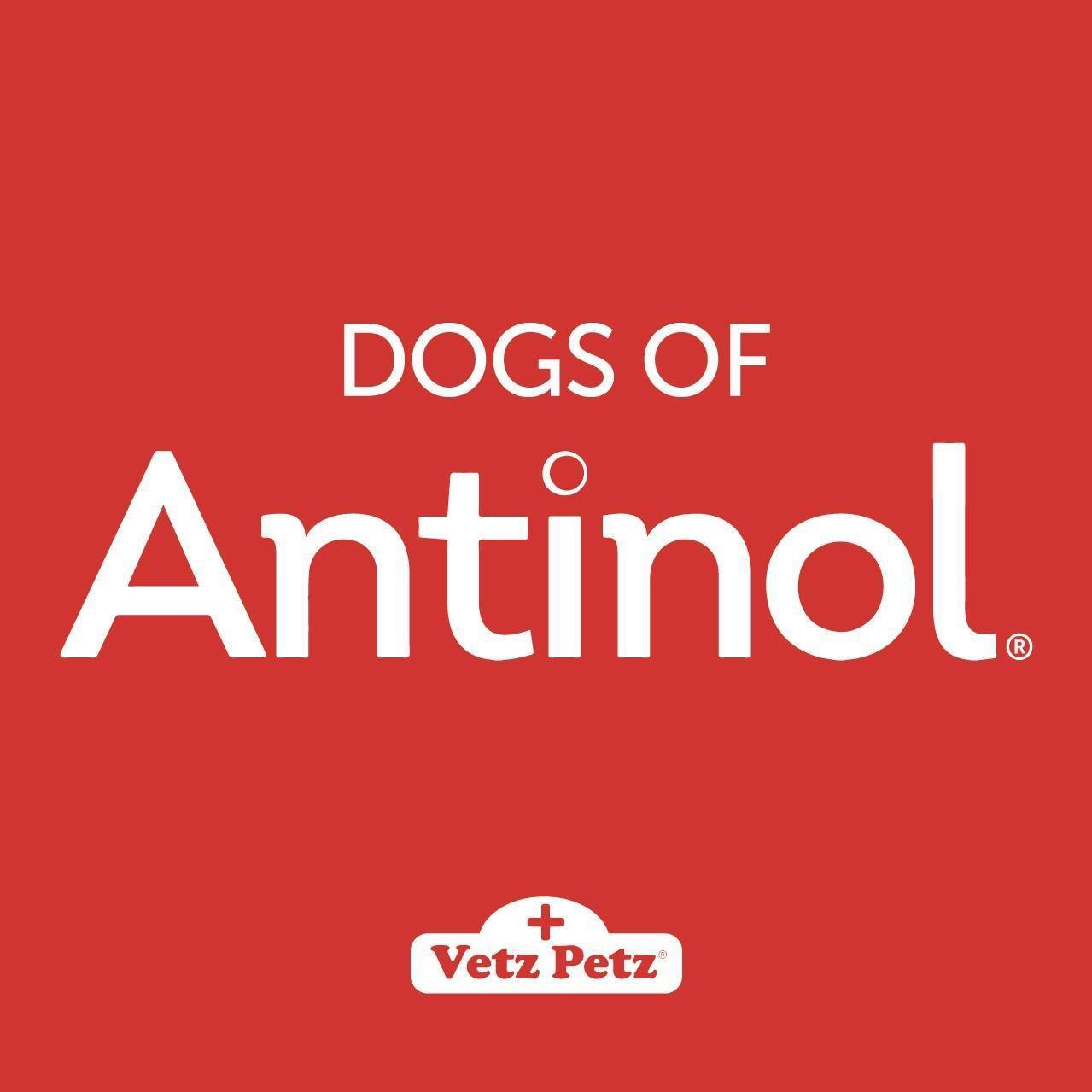 Vetz Petz Antinol天然青口關節精華 - 犬用 - PetMo